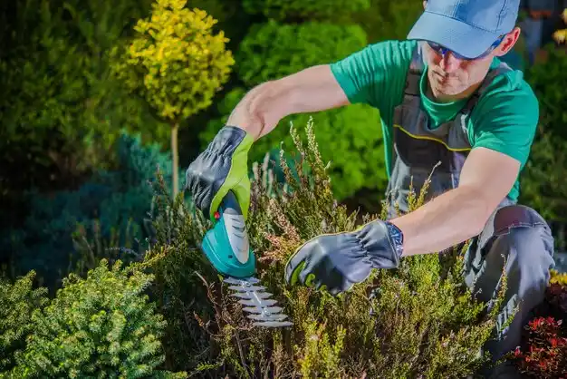 landscaping services Wurtsboro